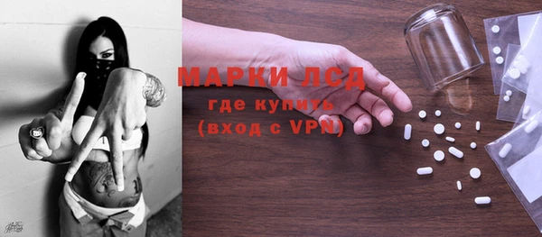 прущие грибы Бикин