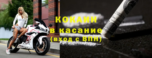 эйфоретик Бородино