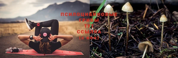 герыч Бронницы