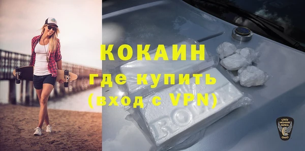 эйфоретик Бородино