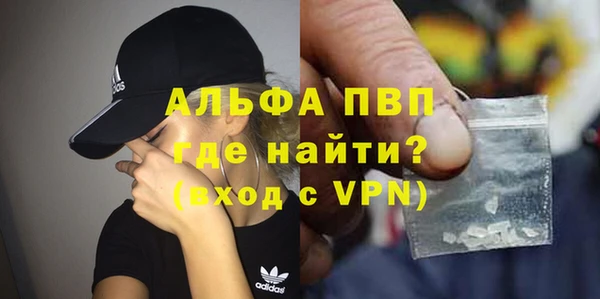 эйфоретик Бородино