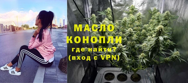 эйфоретик Бородино