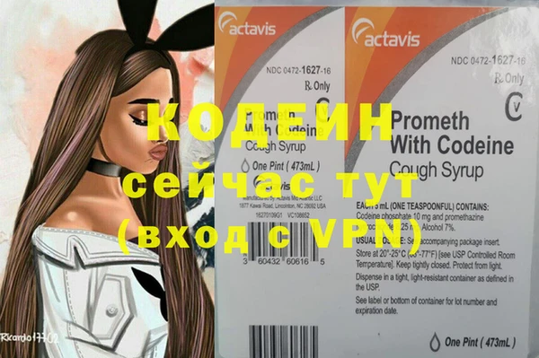 эйфоретик Бородино