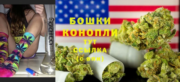 эйфоретик Бородино