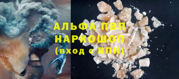 эйфоретик Бородино