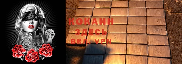 прущие грибы Бикин