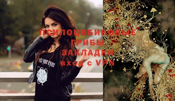 mix Белокуриха