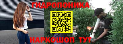 спайс Аргун
