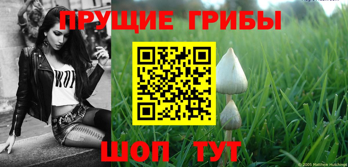 Псилоцибиновые грибы GOLDEN TEACHER  Вход с VPN  Бузулук  даркнет сайт  Псилоцибиновые грибы Magic Shrooms 